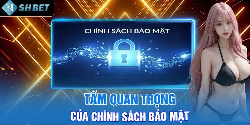 Cập nhật nội dung chính sách chi tiết cho thành viên casino