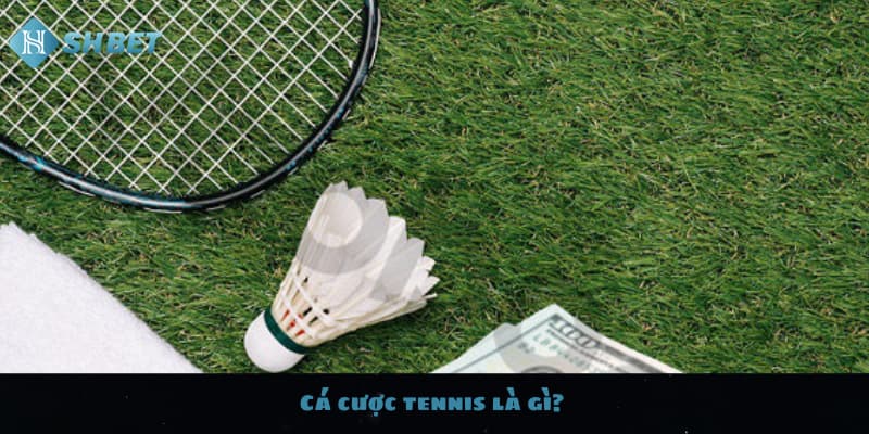 Cá cược tennis là gì? 